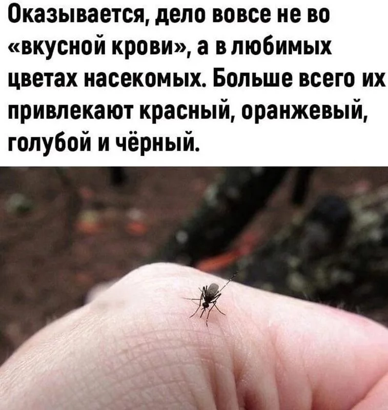 Это интересно!