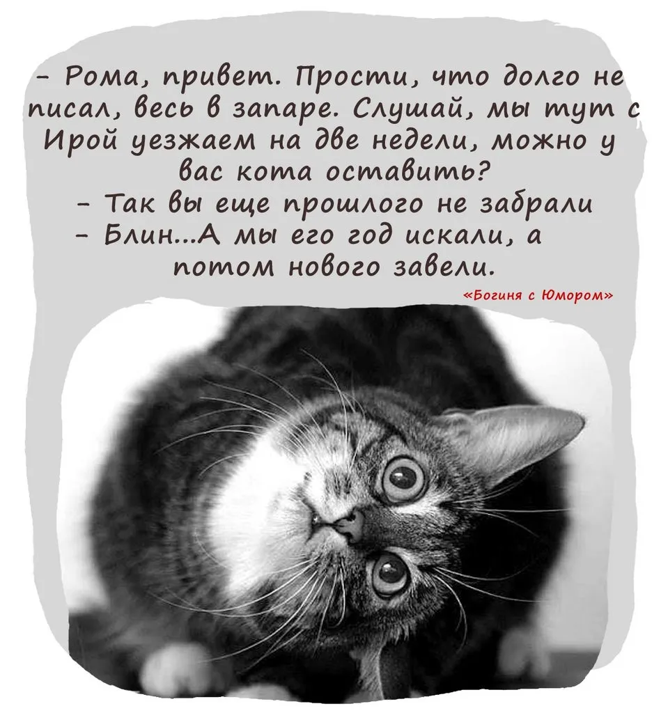 Посмеялся сам - поделись с другом!!!