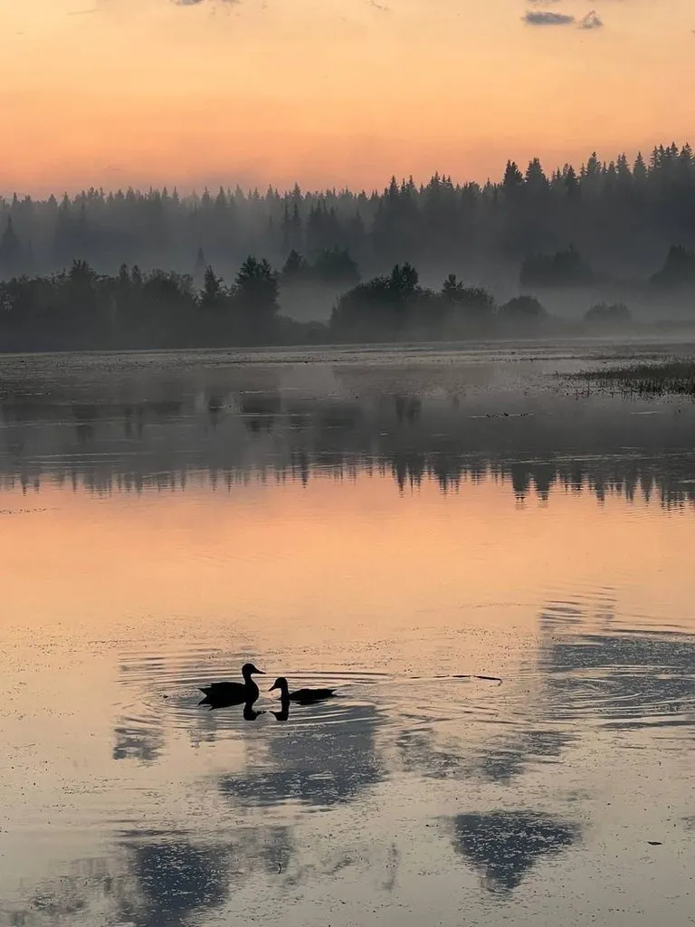 Такое разное небо