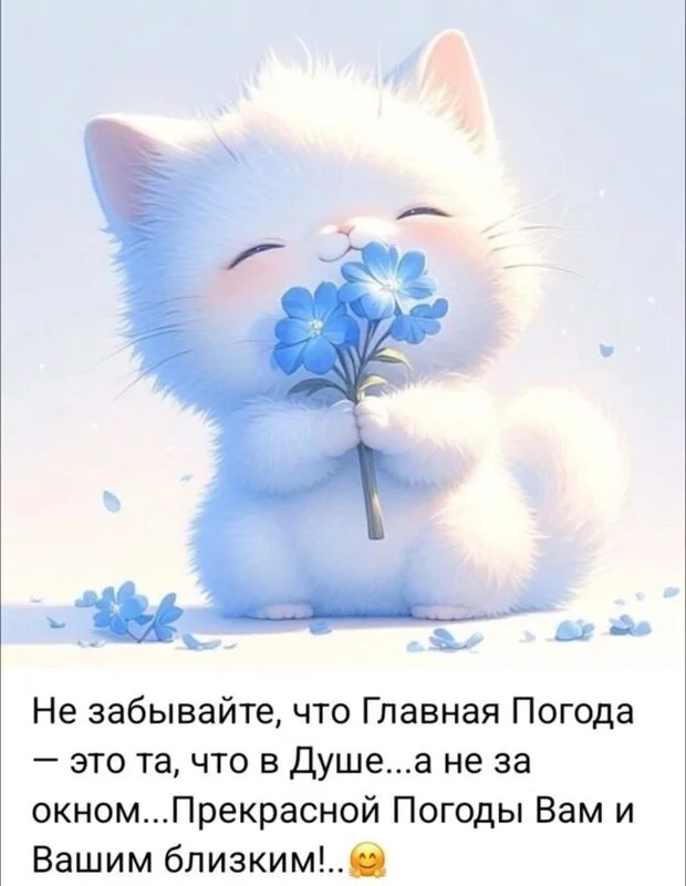 Позитивчик (фото, видео, рассказы для хорошего настроения)
