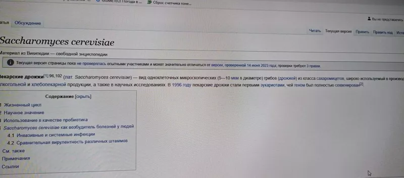 Мини-хлебопечка Panasonic SD PN100