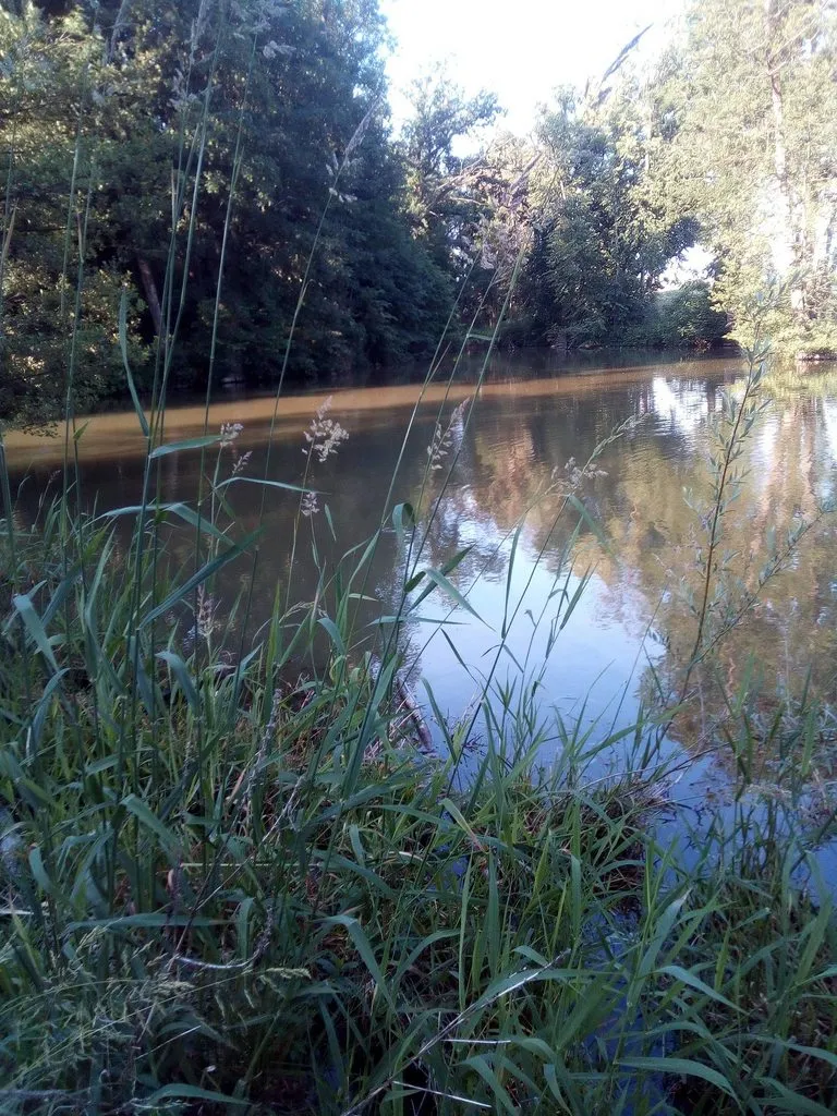 Чайная беседка