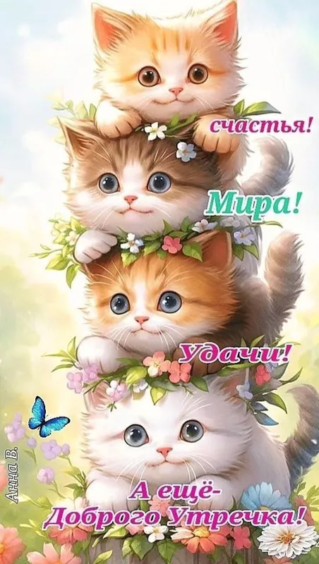 Кафе "У пани Сони"