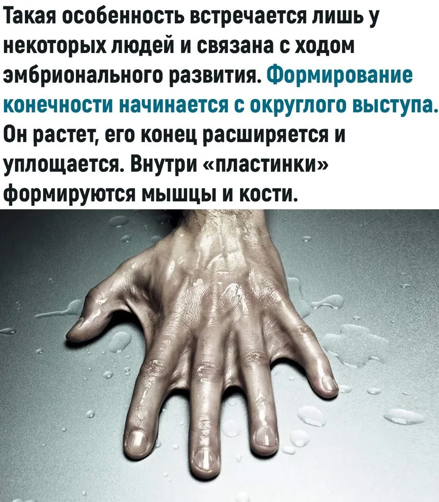 Это интересно!