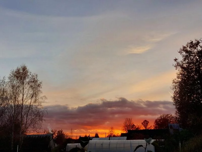 Такое разное небо