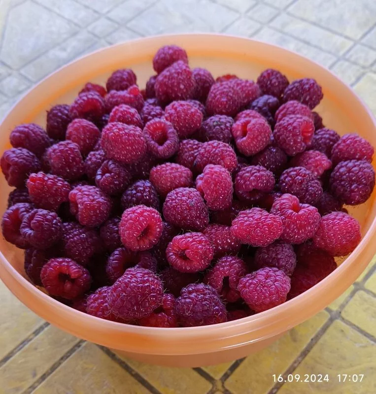 Чайная беседка
