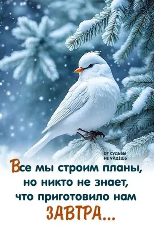 Позитивчик (фото, видео, рассказы для хорошего настроения)