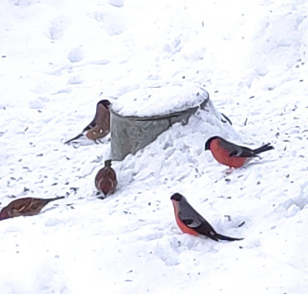 Tapтaлeтки & Ко