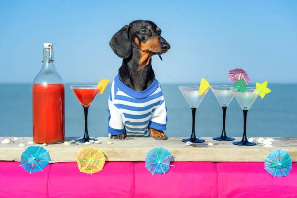 Живой Журнал Жульена