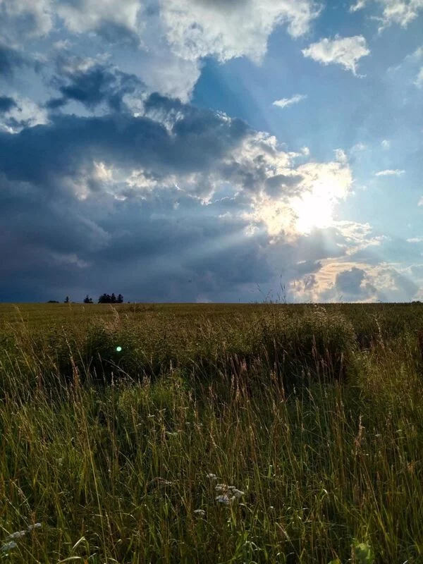 Такое разное небо