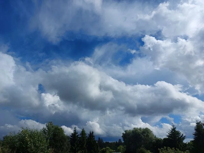 Такое разное небо