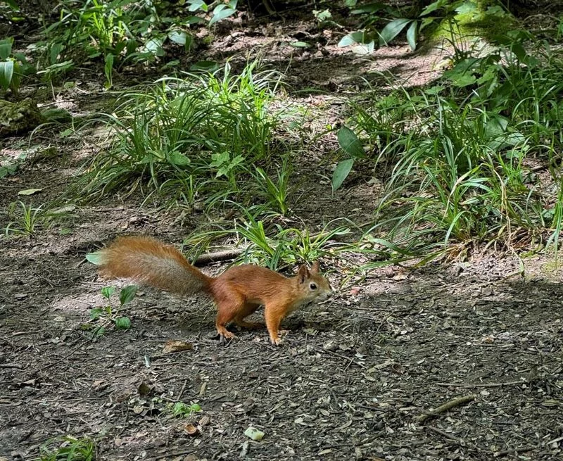 Коломенское