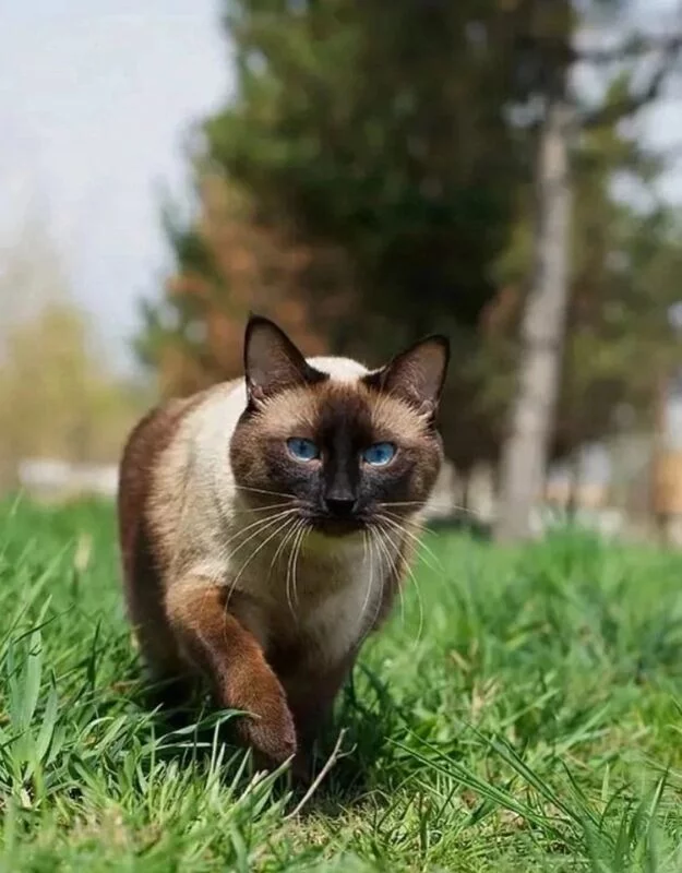 Рассказы для души