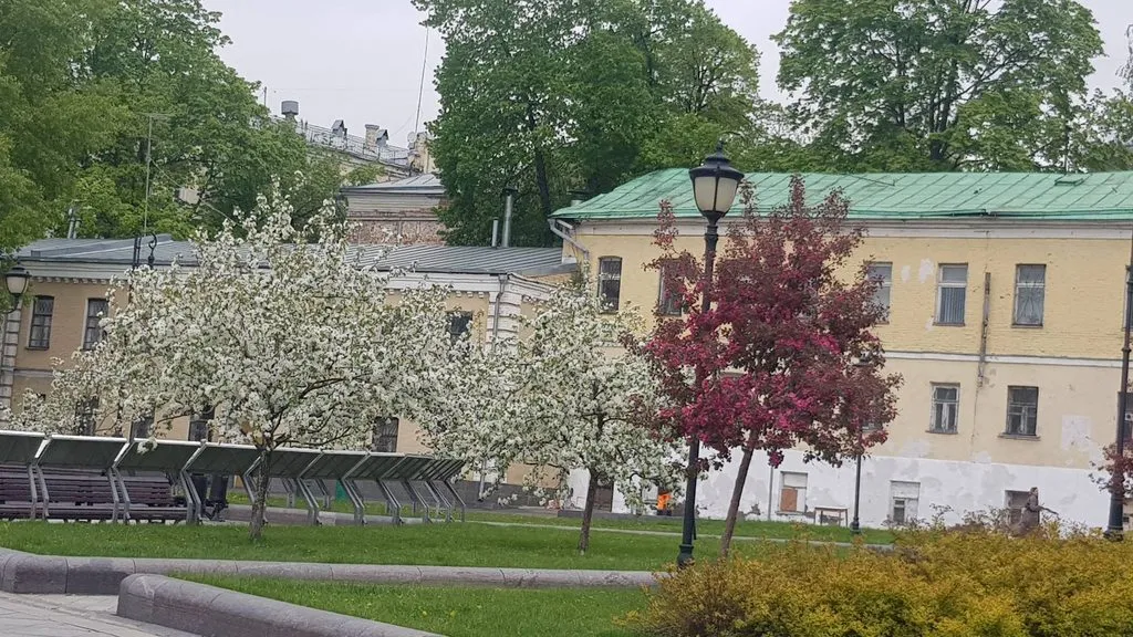Что в Москве слышно? 