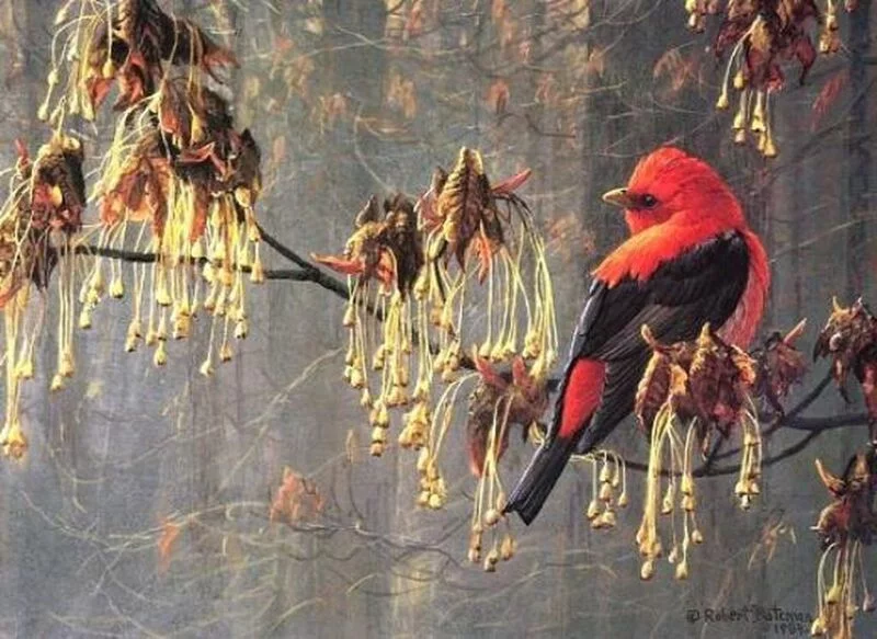 Арт галерея