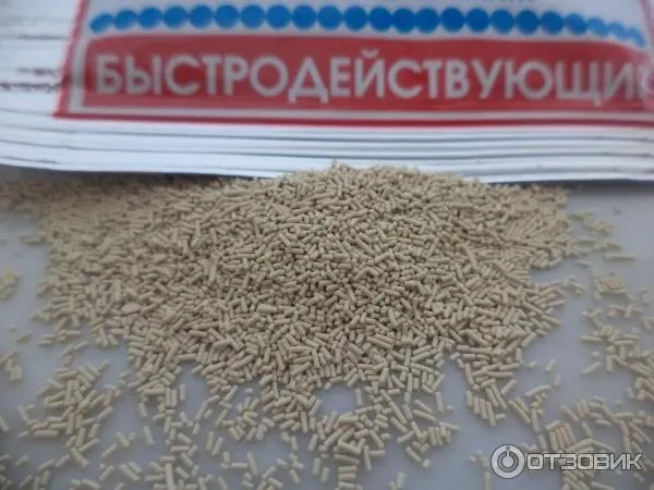 Дрожжи - виды, использование, закладка, выбор