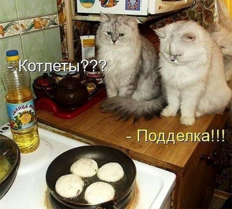 Посмеялся сам - поделись с другом!!!