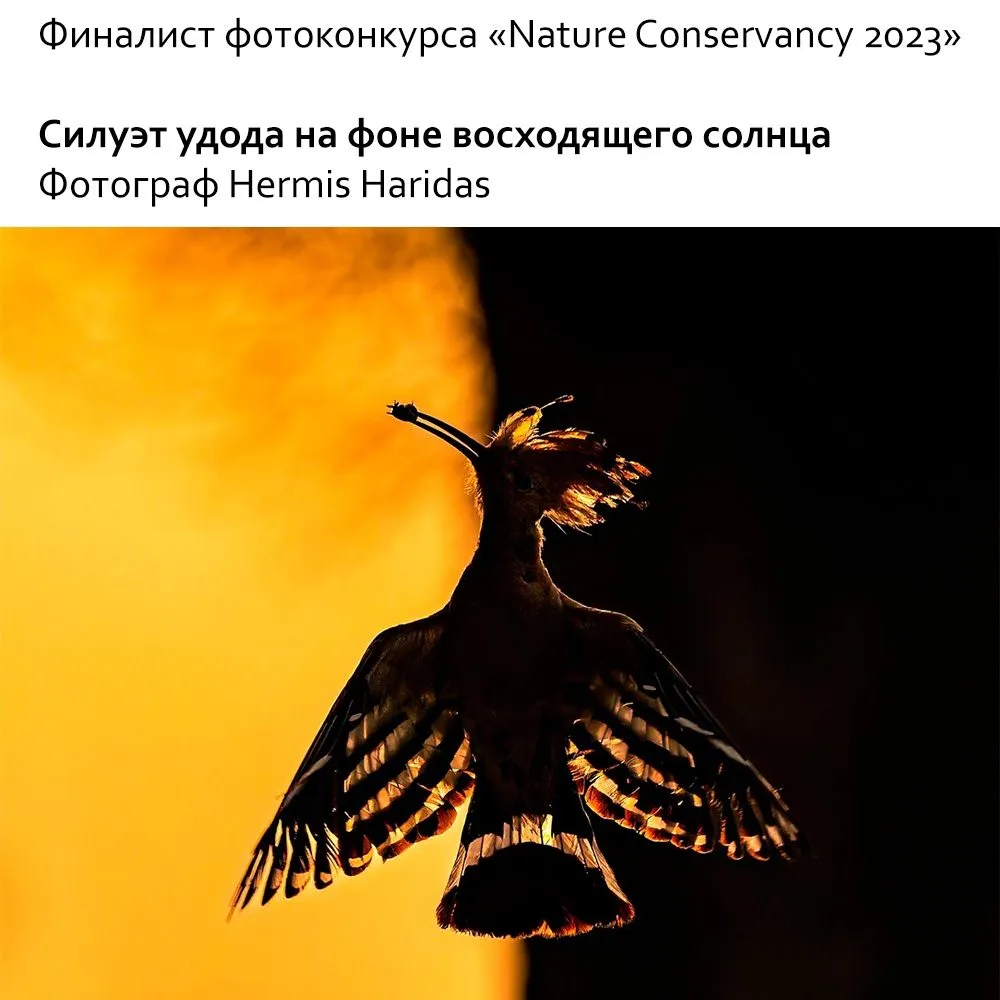Это интересно!