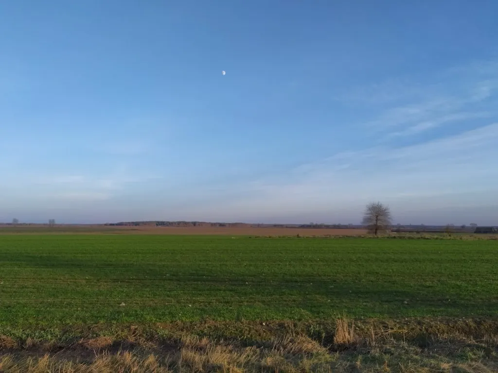 В гостях у Батьки