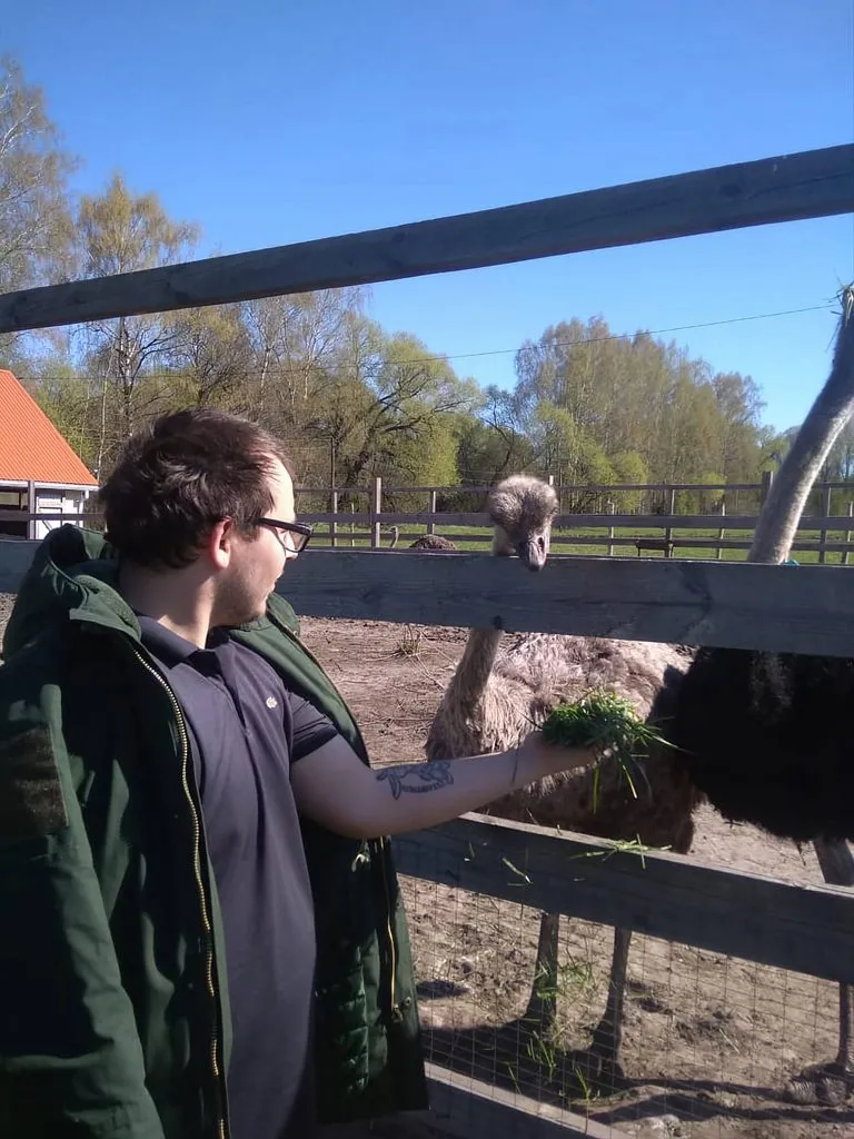 Чайная беседка