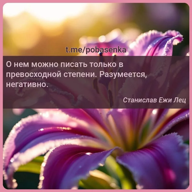 «О нем можно писать только в превосходной степени. Разумеется,...» height="550" width="550"
