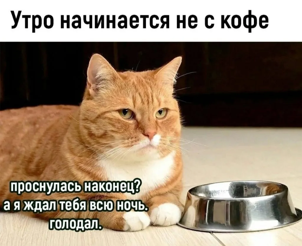 Посмеялся сам - поделись с другом!!!