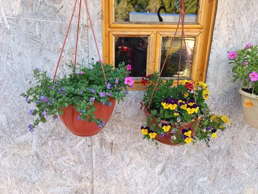 Чайная беседка