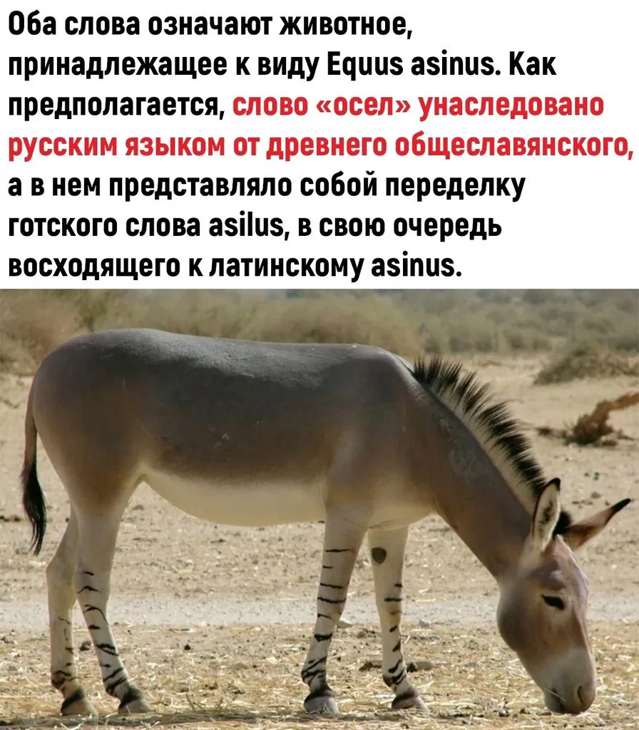 Это интересно!