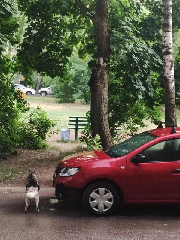 Чайная беседка