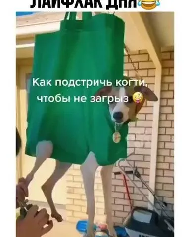 Посмеялся сам - поделись с другом!!!