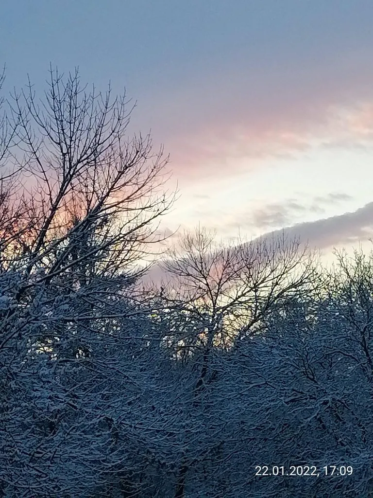 Чайная беседка