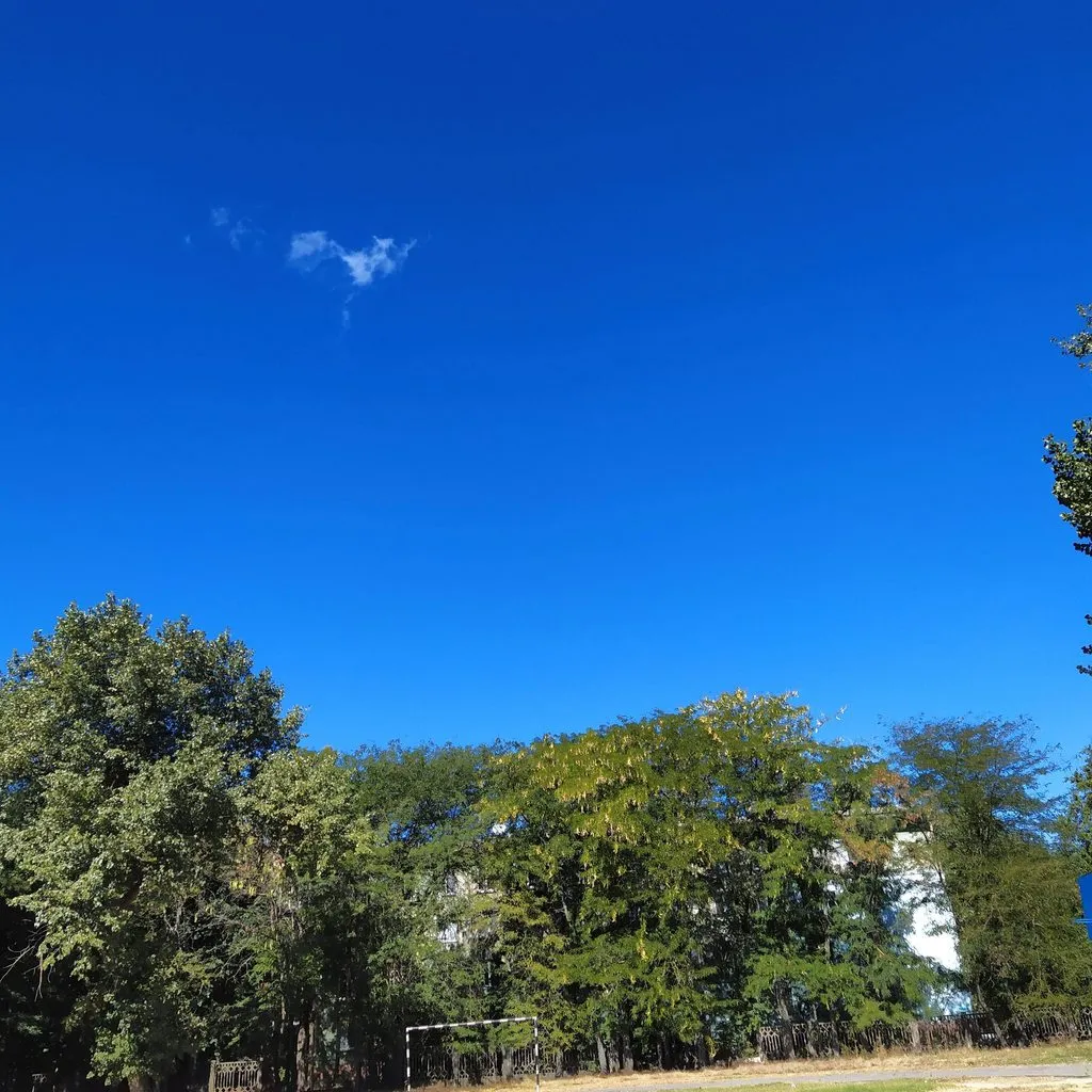 Чайная беседка