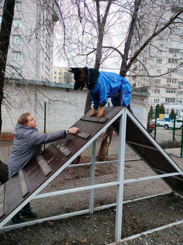 Вышивка крестиком