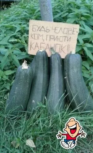 Посмеялся сам - поделись с другом!!!