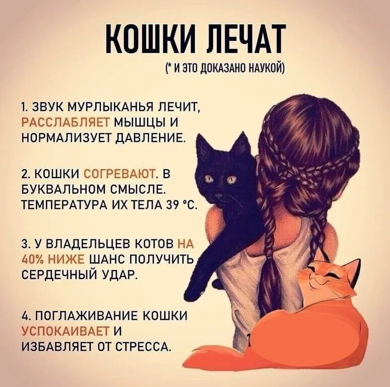 Кто сказал "Мяу"?