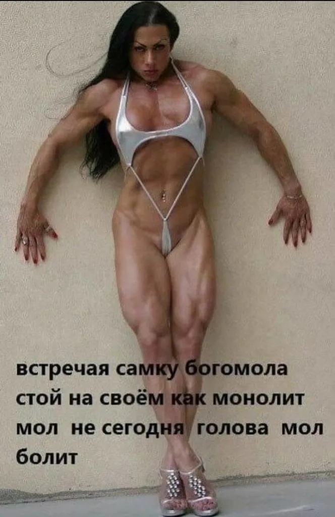 Четверостишья со смыслом