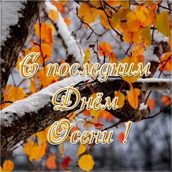 Tapтaлeтки & Ко