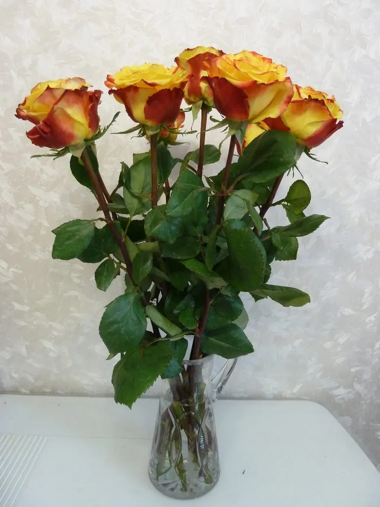 Флора