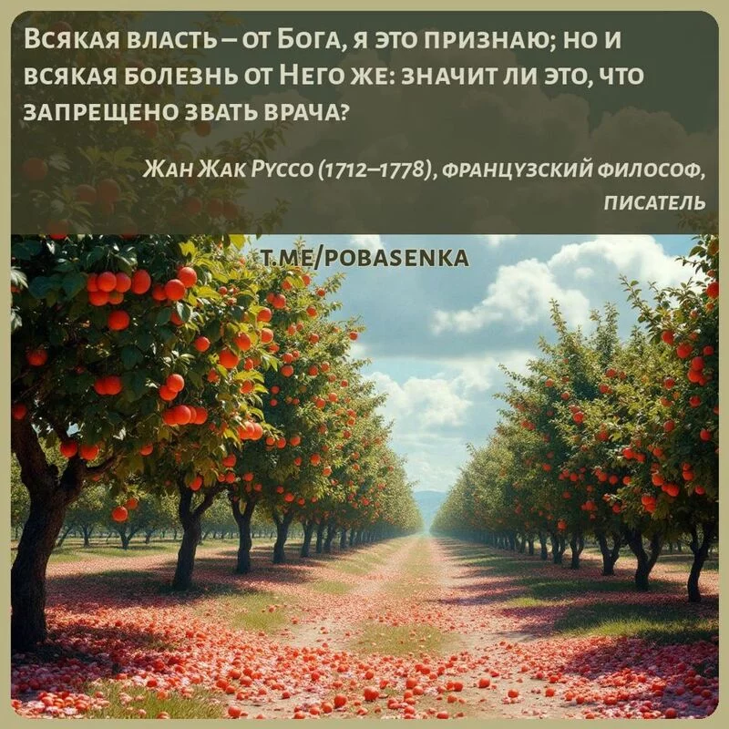 «Всякая власть от Бога, я это признаю; но и всякая болезнь от Него же значит ли это, что запрещено звать...» height="550" width="550"
