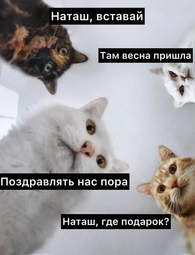 Позитивчик (фото, видео, рассказы для хорошего настроения)