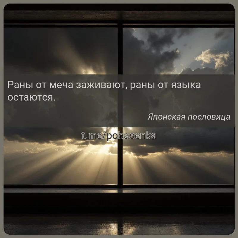 «Раны от меча заживают, раны от языка...» height="550" width="550"