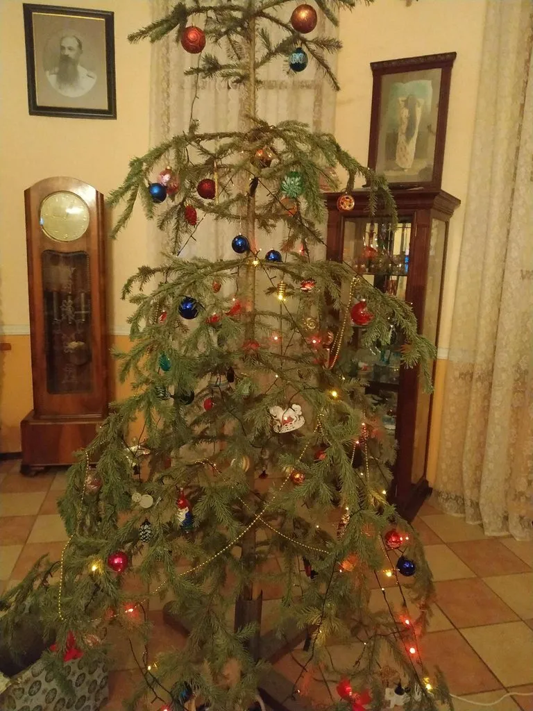 Похвастаемся елками!