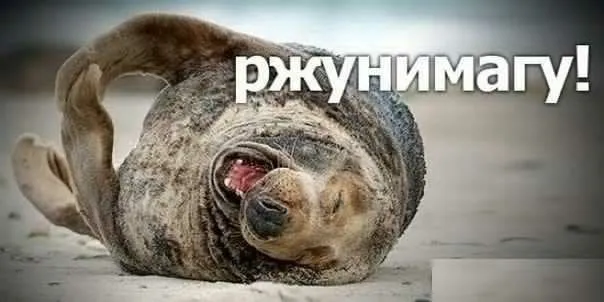 В гостях у Батьки