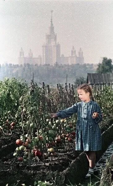 Это интересно!