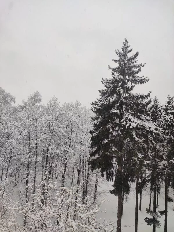 Чайная беседка