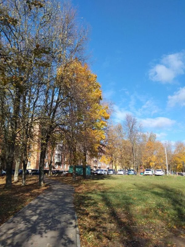 Чайная беседка