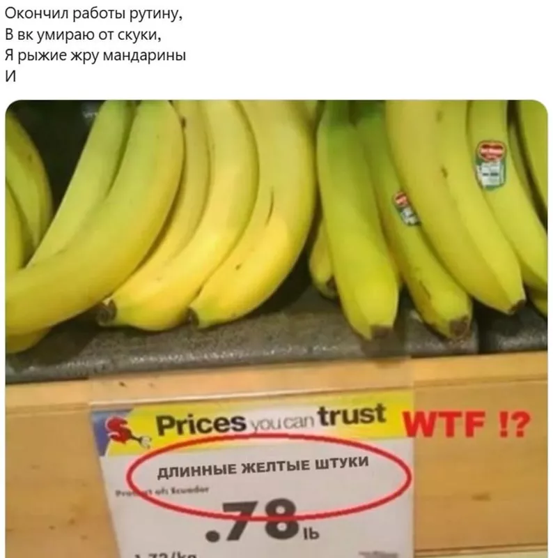 Всюду рифмы