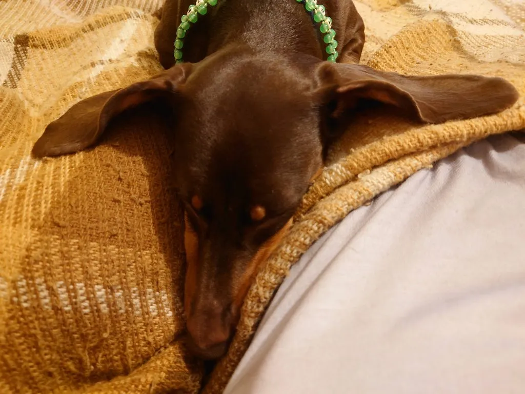 Живой Журнал Жульена