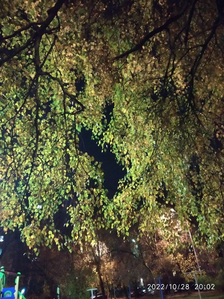 Чайная беседка