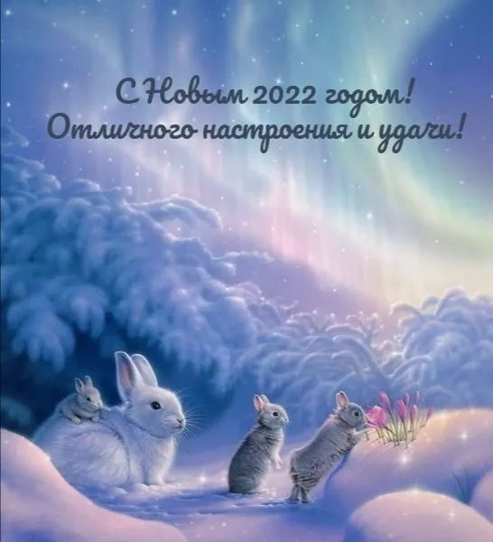 С Новым 2022 годом!